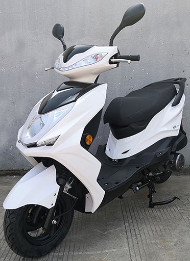 台虎牌TH125T-5L两轮摩托车公告图片