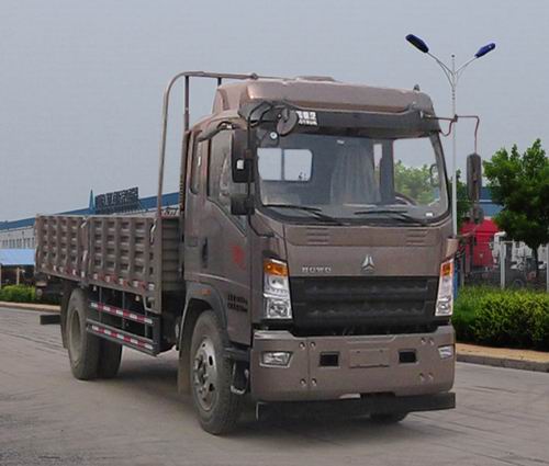 豪沃牌ZZ1167G451CE1A载货汽车图片