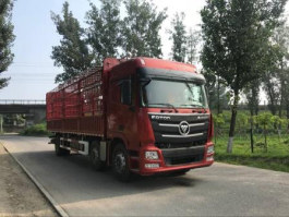 仓栅式运输车