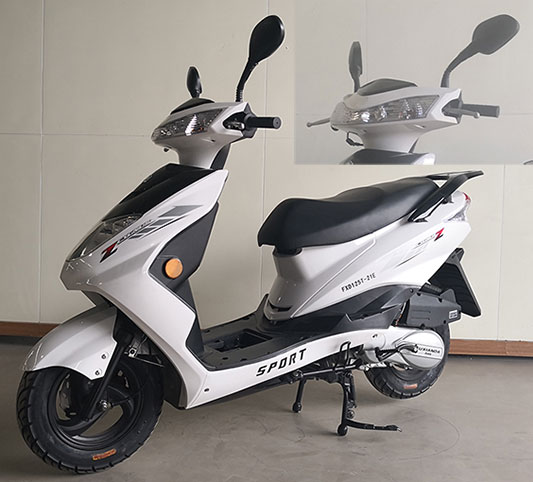 富先达牌FXD125T-21E两轮摩托车公告图片