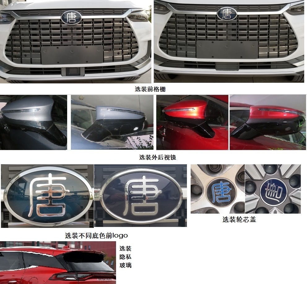 比亚迪牌BYD6490SBEV纯电动多用途乘用车公告图片