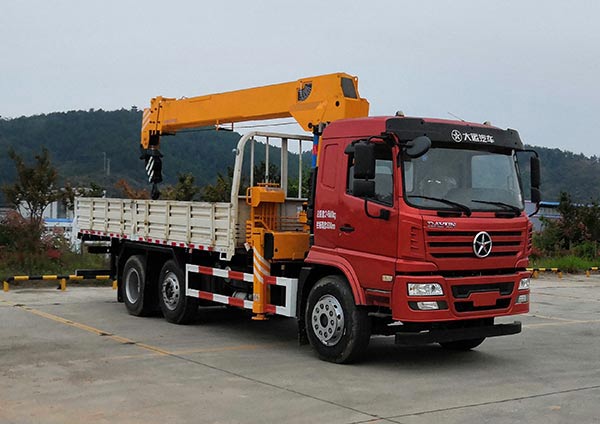 大運牌DYQ5253JSQD5CB隨車起重運輸車公告圖片