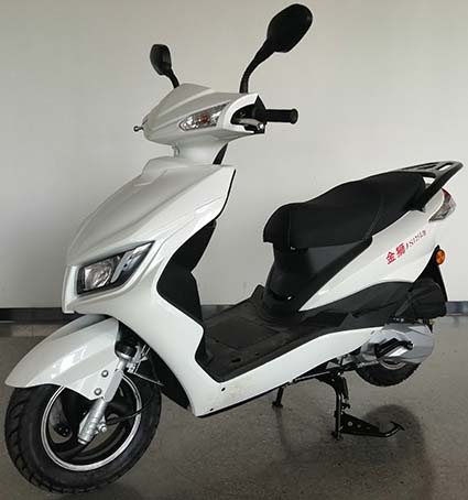 金狮牌JS125T-7D两轮摩托车公告图片