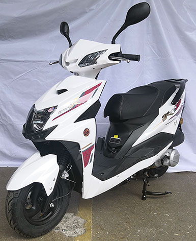 雷克牌LK125T-3L两轮摩托车公告图片