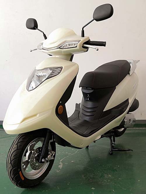 嘉吉牌JL125T-31D两轮摩托车公告图片