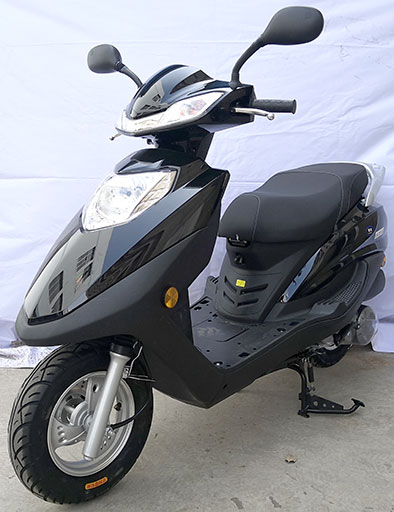 雷克牌LK125T-2L两轮摩托车公告图片