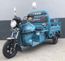 电动正三轮摩托车
