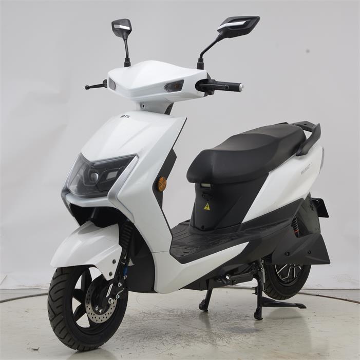 爱玛牌AM1000DT-2电动两轮摩托车公告图片