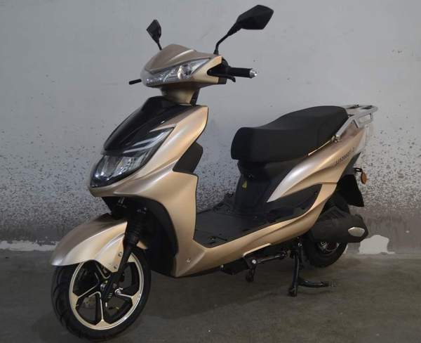 金舰牌JJ1200DT-2电动两轮摩托车公告图片