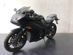 新世纪牌XSJ400-3两轮摩托车公告图片