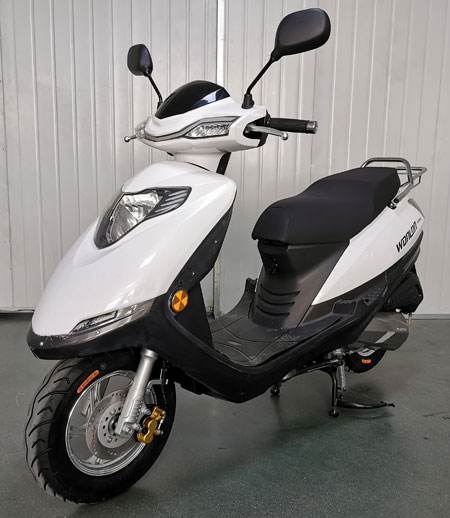 望龙牌WL125T-23两轮摩托车公告图片