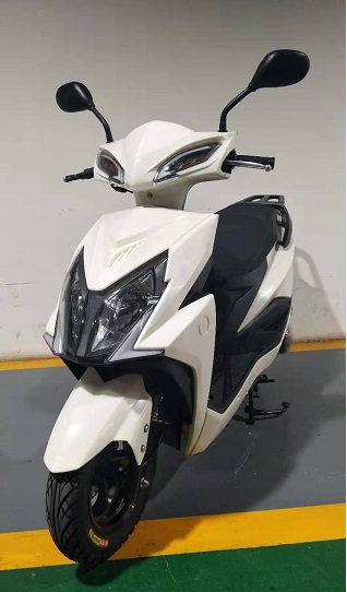 立田牌LT125T-8F两轮摩托车公告图片