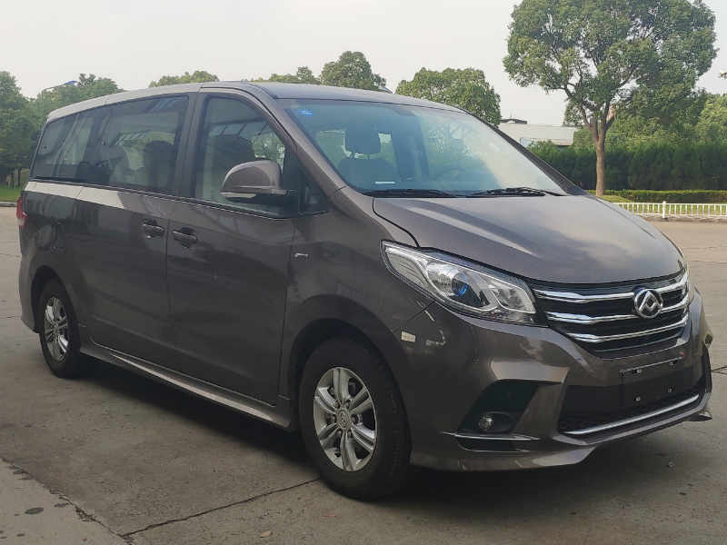 大通牌SH6521C1GC多用途乘用车图片