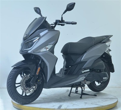 厦杏三阳牌XS150T-9两轮摩托车公告图片