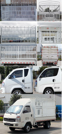 时骏牌LFJ5040CCYSCG1仓栅式运输车公告图片