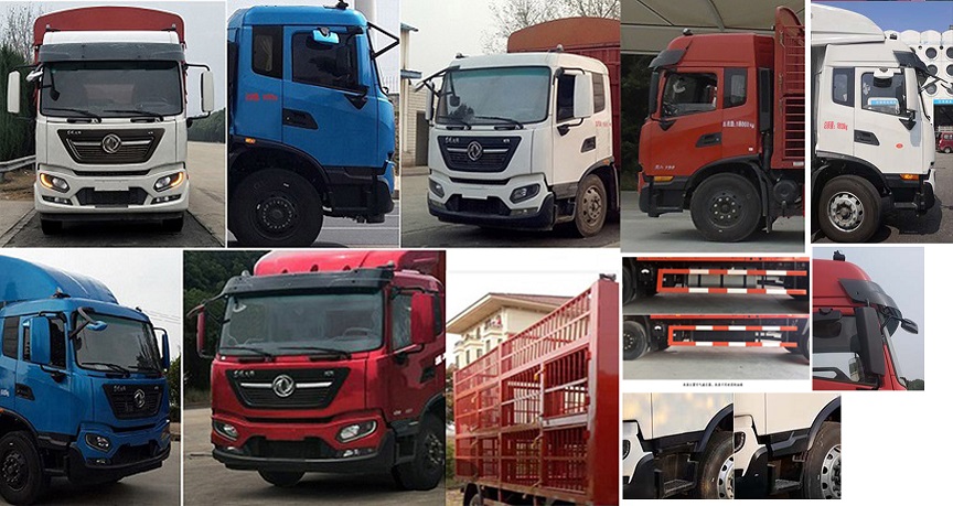 東風牌DFH5180CCQEX3畜禽運輸車公告圖片