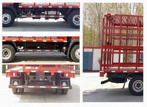 豪沃牌ZZ5047CYFG3315E145養(yǎng)蜂車公告圖片