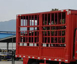 豪沃牌ZZ5047CYFF3315E145养蜂车公告图片