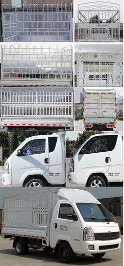 時駿牌LFJ5045CCYSCG2倉柵式運輸車公告圖片