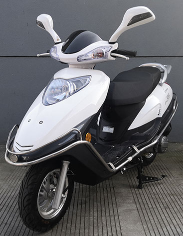 铃田牌LT125T-5Y两轮摩托车公告图片