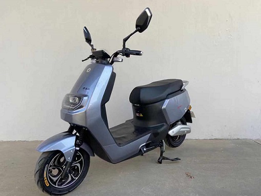 速派奇牌SPQ800DQT-8电动两轮轻便摩托车公告图片