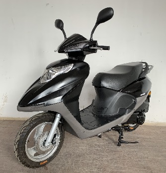 金轮牌JL125T-8A两轮摩托车公告图片