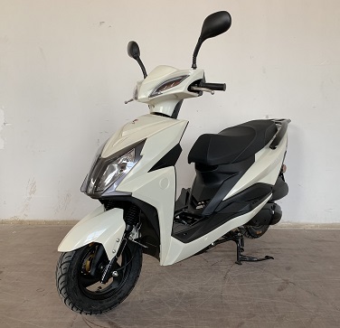 金轮牌JL125T-8F两轮摩托车公告图片