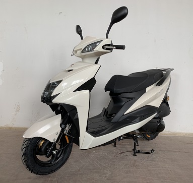 金轮牌JL125T-8F两轮摩托车公告图片