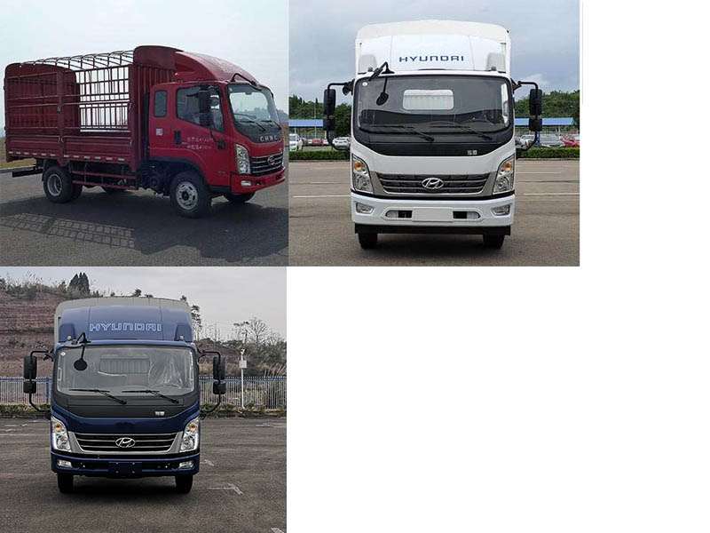 南駿牌CNJ5043CCYQDA33V倉柵式運輸車公告圖片