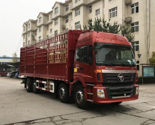 大迪牌DDA5310CCYBJ95-A倉(cāng)柵式運(yùn)輸車公告圖片