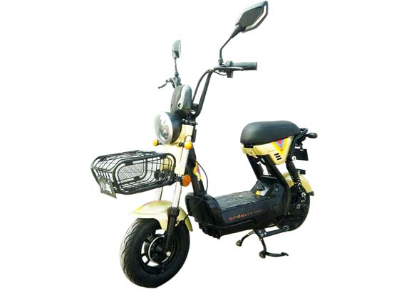 小鸟牌XN500DQT-8电动两轮轻便摩托车公告图片