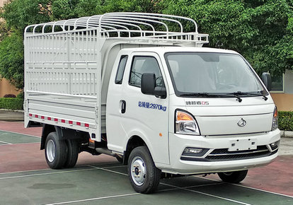 長(zhǎng)安牌SC5031CCYUDW64倉(cāng)柵式運(yùn)輸車(chē)公告圖片