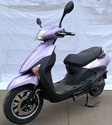 广雅牌GY1200DT-3E电动两轮摩托车公告图片