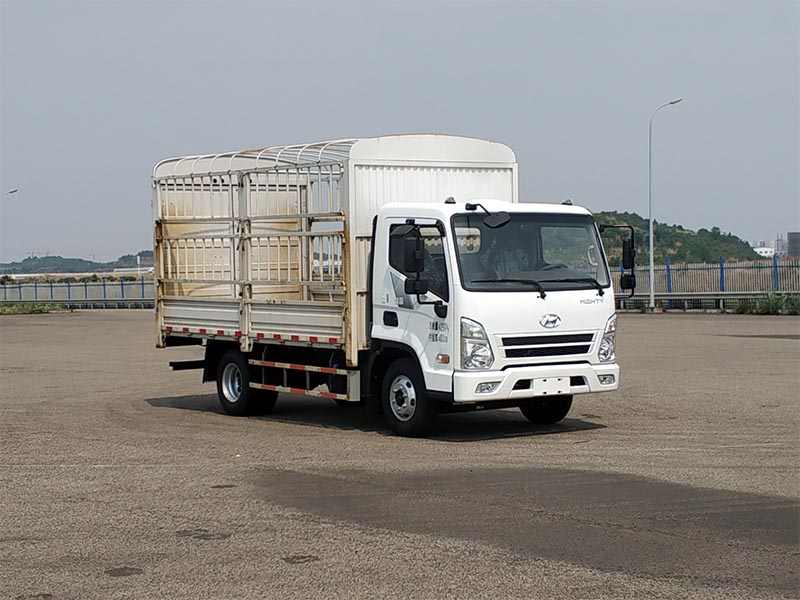 現(xiàn)代牌CHM5041CCYGDC33T倉(cāng)柵式運(yùn)輸車公告圖片