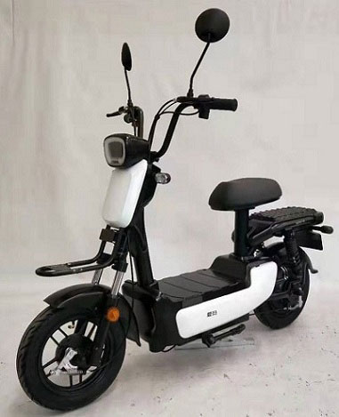 爱玛牌AM500DQT-21K电动两轮轻便摩托车图片