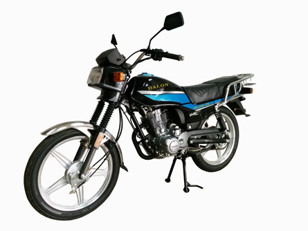 达龙牌DL150-2E两轮摩托车公告图片