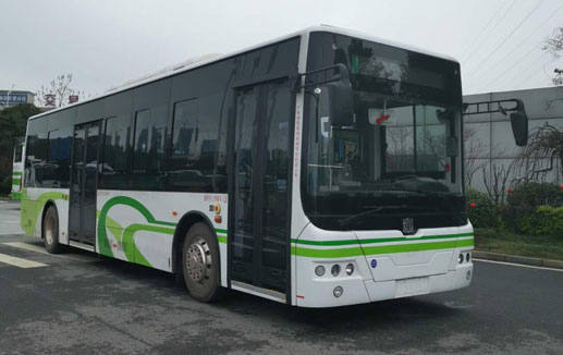 中国中车牌TEG6105BEV10纯电动城市客车图片