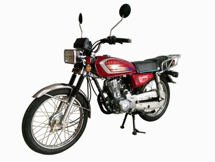 达龙牌DL125-E两轮摩托车图片