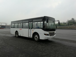 教练车