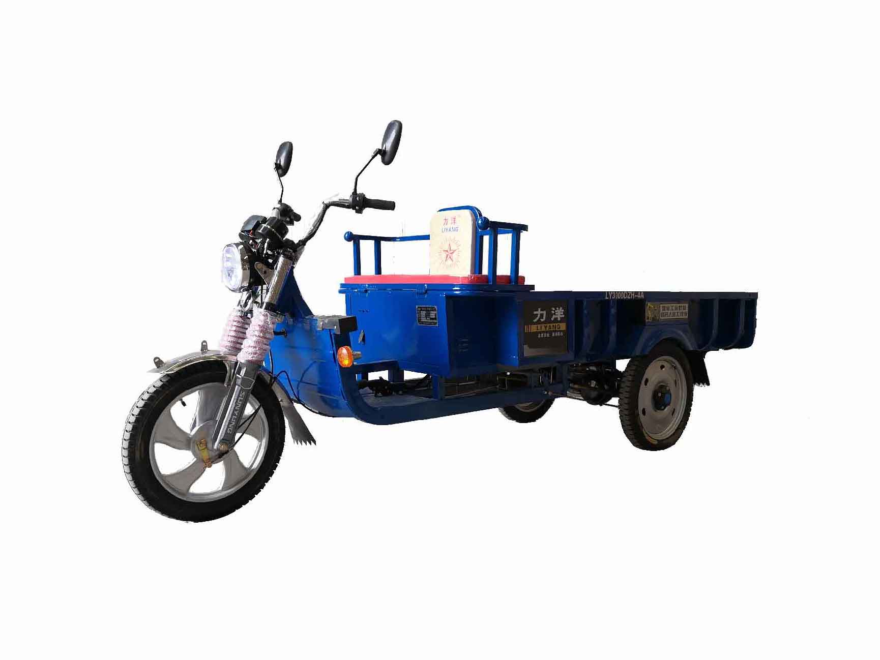 力洋牌LY3000DZH-4A电动正三轮摩托车公告图片