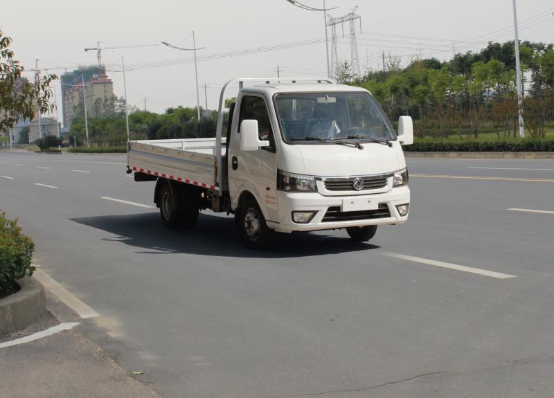 东风牌EQ1031S16QE轻型载货汽车公告图片