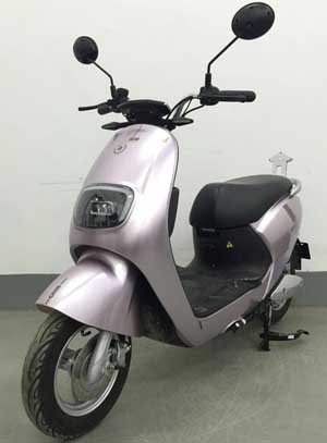 金箭牌JJ1200DT-8电动两轮摩托车公告图片