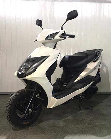 株雅牌ZY125T-4E两轮摩托车公告图片