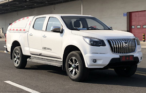 凌河牌LH5030XXYC1D1F0廂式運(yùn)輸車公告圖片