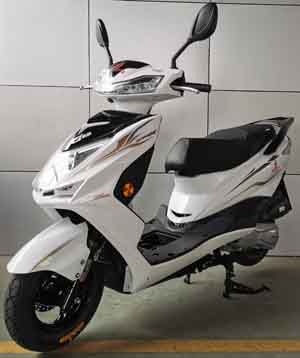 先鹰牌XY125T-12D两轮摩托车公告图片