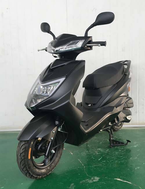 轻铃牌QL125T-8两轮摩托车公告图片