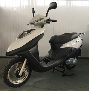 株雅牌ZY125T-5D两轮摩托车公告图片