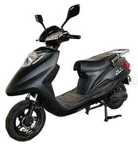 申迅牌SX1200DQT-19A电动两轮轻便摩托车公告图片