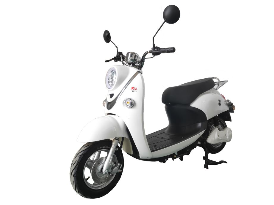 大阳牌DY600DQT-2电动两轮轻便摩托车公告图片