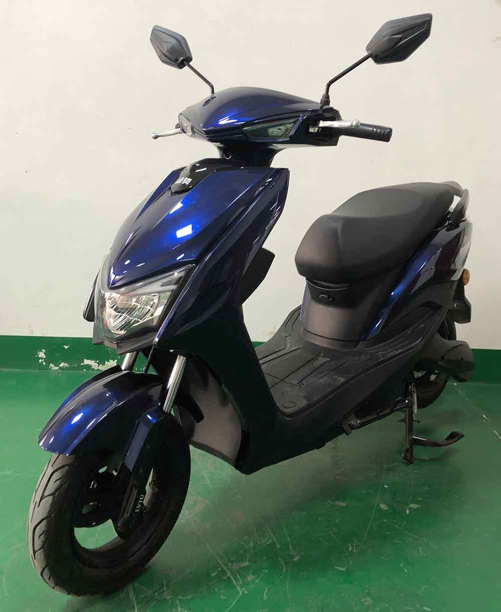 绿驹牌LJ600DQT-5电动两轮轻便摩托车公告图片